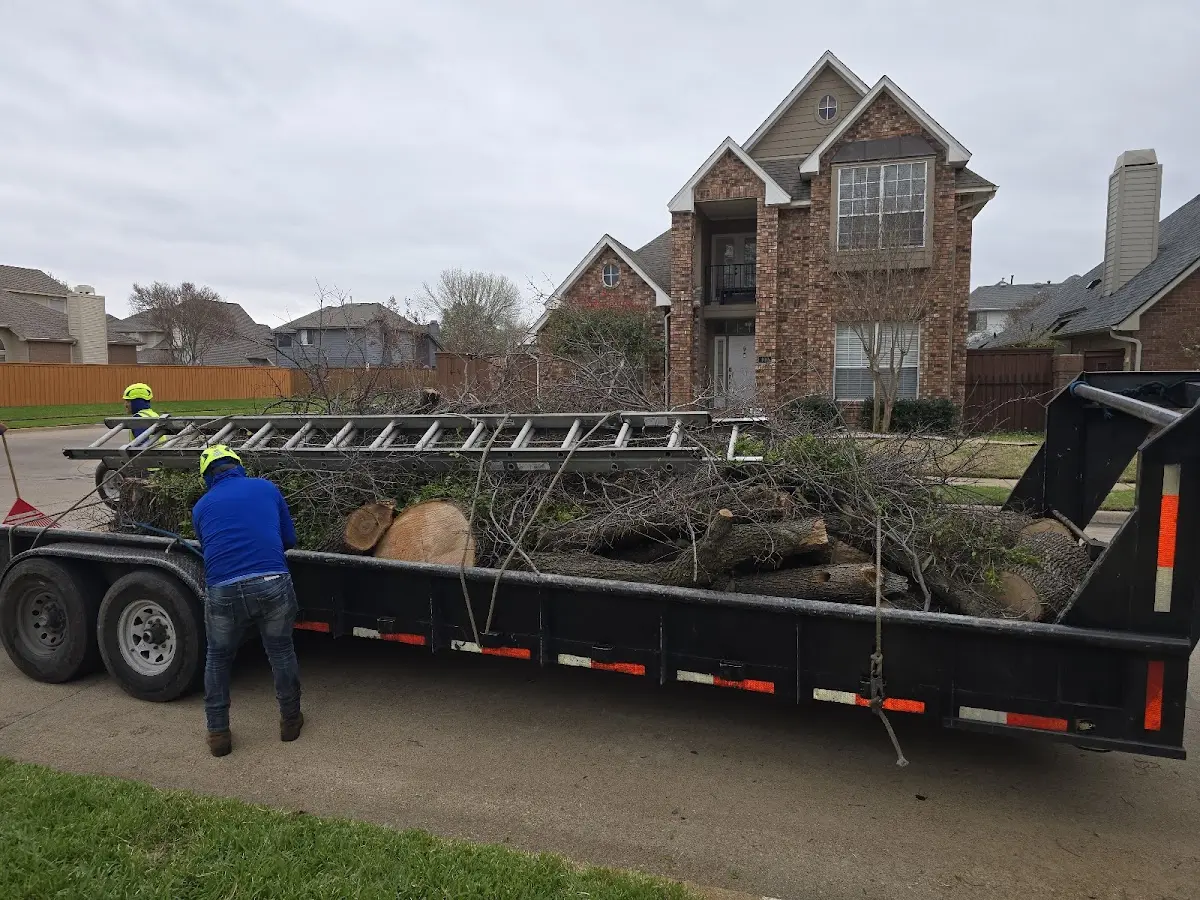 Expert Crown Reduction with proper safety equipment in Taylorsville